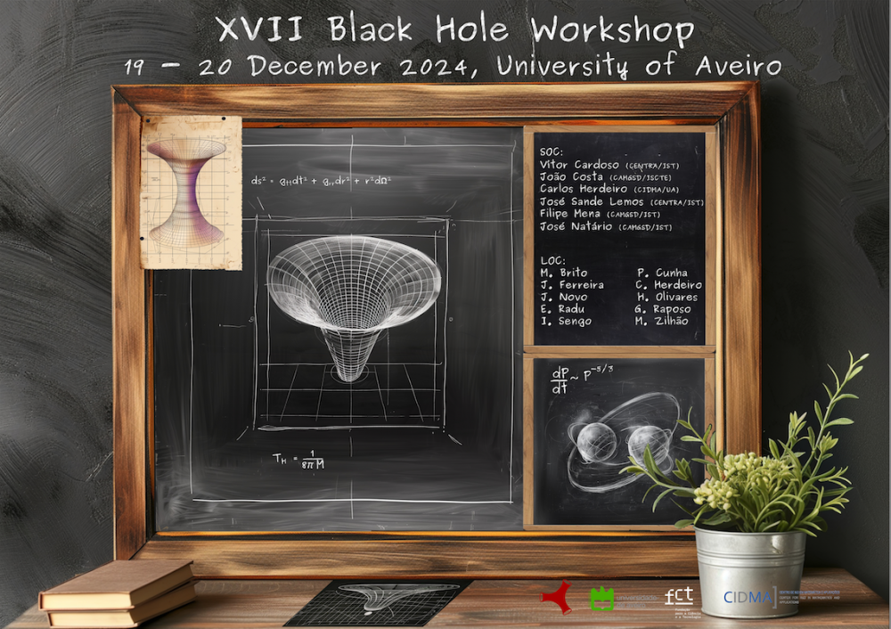 Black Holes workshops